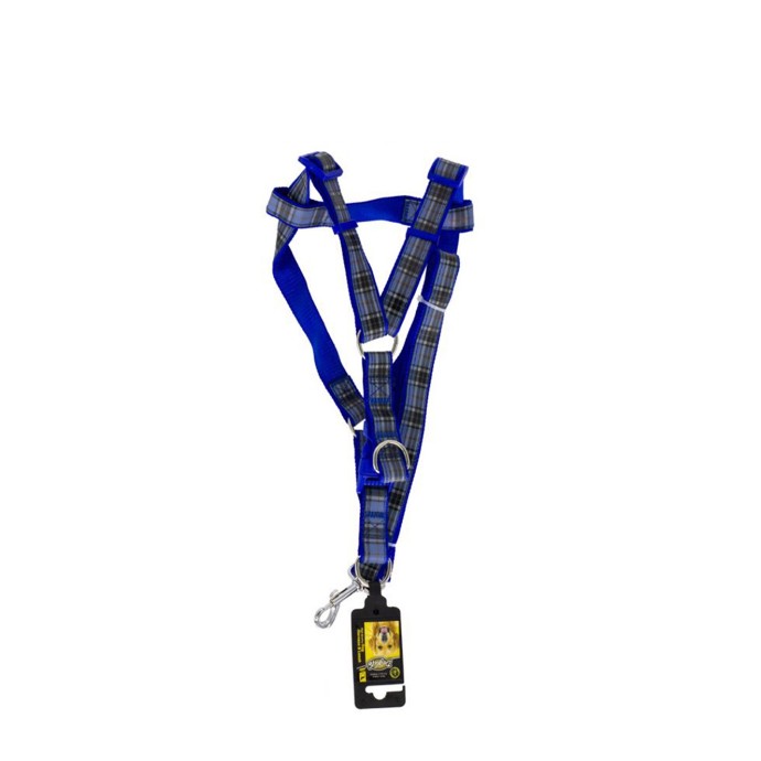 Rengarenk Pet Shop | Kedi, Köpek, Kuş, Balık ve Tüm Evcil Hayvan Ürünleri