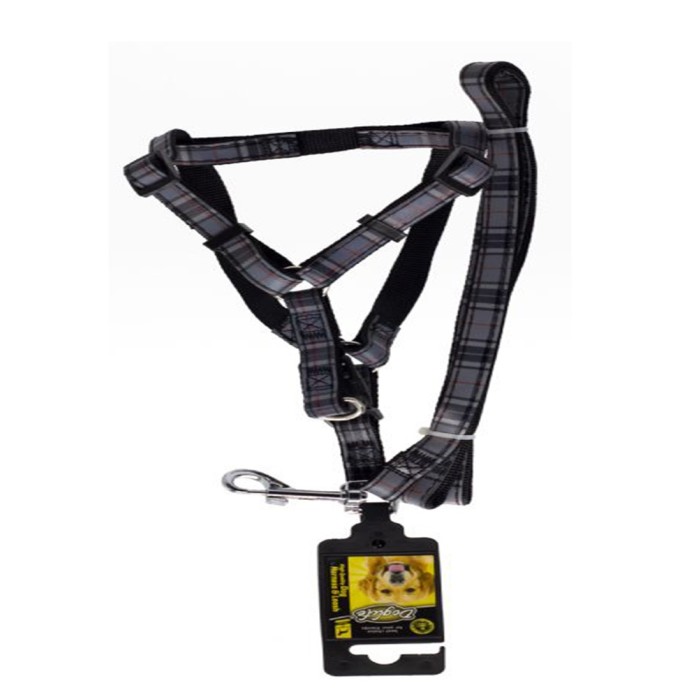 Rengarenk Pet Shop | Kedi, Köpek, Kuş, Balık ve Tüm Evcil Hayvan Ürünleri