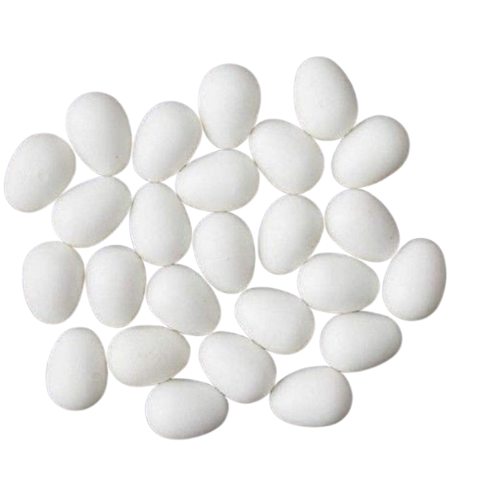 Rengarenk Pet Shop | Kedi, Köpek, Kuş, Balık ve Tüm Evcil Hayvan Ürünleri