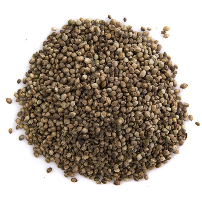 Rengarenk Pet Shop | Kedi, Köpek, Kuş, Balık ve Tüm Evcil Hayvan Ürünleri