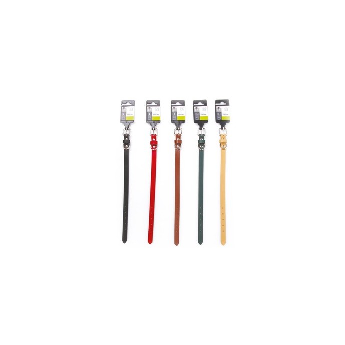 Rengarenk Pet Shop | Kedi, Köpek, Kuş, Balık ve Tüm Evcil Hayvan Ürünleri