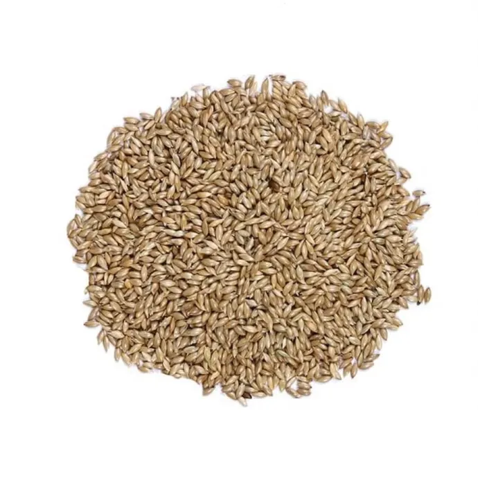 Rengarenk Pet Shop | Kedi, Köpek, Kuş, Balık ve Tüm Evcil Hayvan Ürünleri