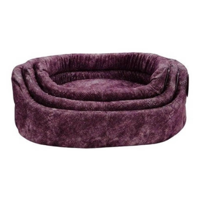 Rengarenk Pet Shop | Kedi, Köpek, Kuş, Balık ve Tüm Evcil Hayvan Ürünleri