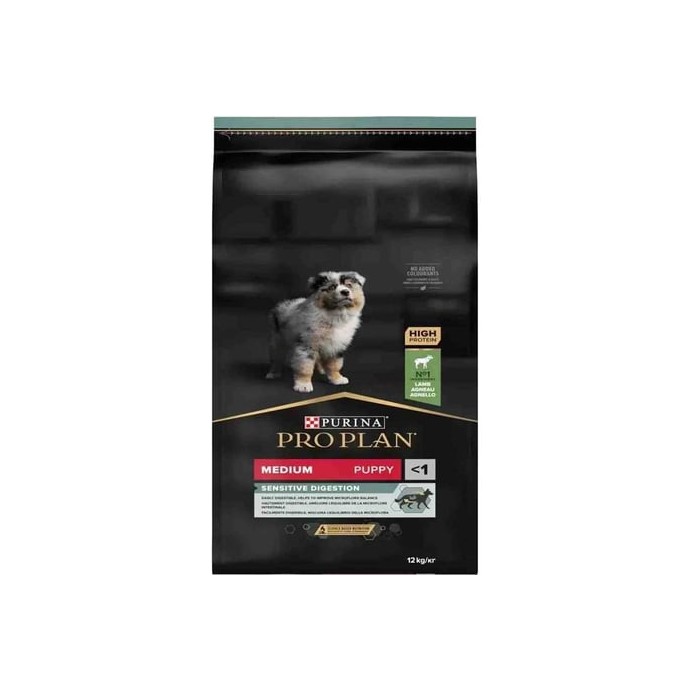 Rengarenk Pet Shop | Kedi, Köpek, Kuş, Balık ve Tüm Evcil Hayvan Ürünleri