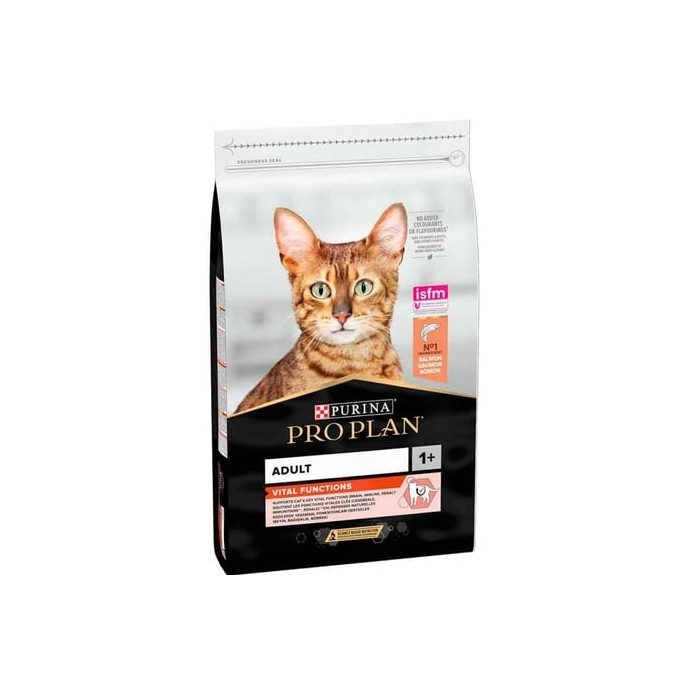 Rengarenk Pet Shop | Kedi, Köpek, Kuş, Balık ve Tüm Evcil Hayvan Ürünleri