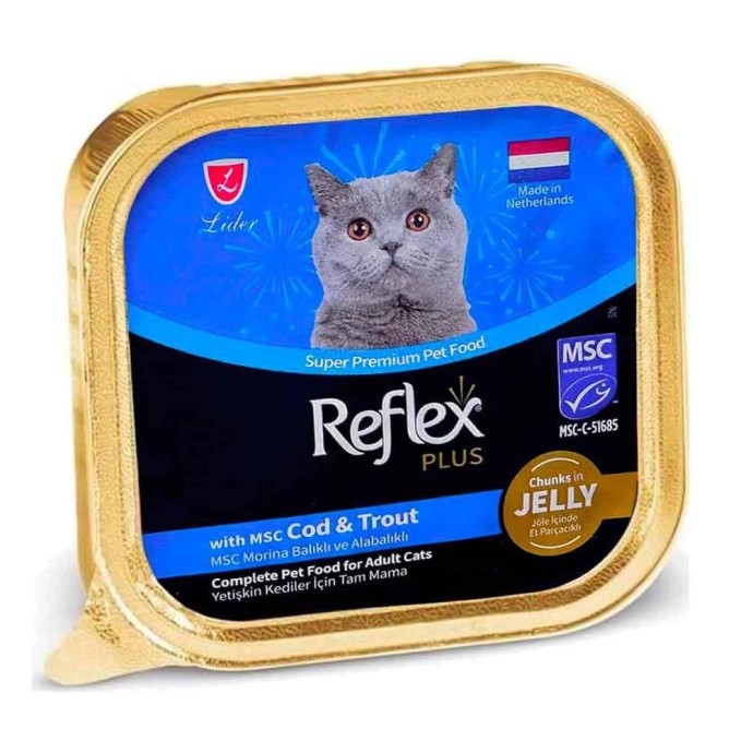 Rengarenk Pet Shop | Kedi, Köpek, Kuş, Balık ve Tüm Evcil Hayvan Ürünleri