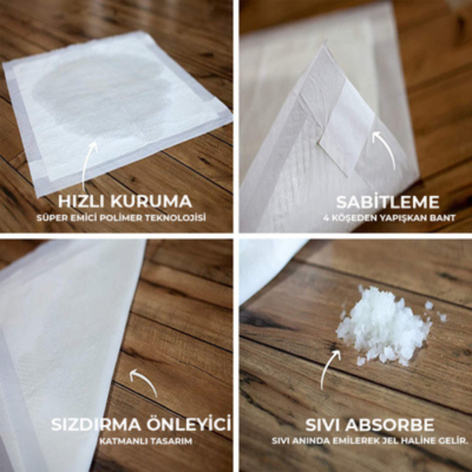 Rengarenk Pet Shop | Kedi, Köpek, Kuş, Balık ve Tüm Evcil Hayvan Ürünleri