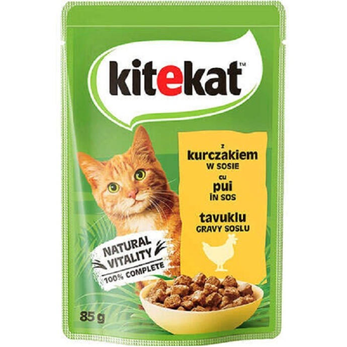 Rengarenk Pet Shop | Kedi, Köpek, Kuş, Balık ve Tüm Evcil Hayvan Ürünleri