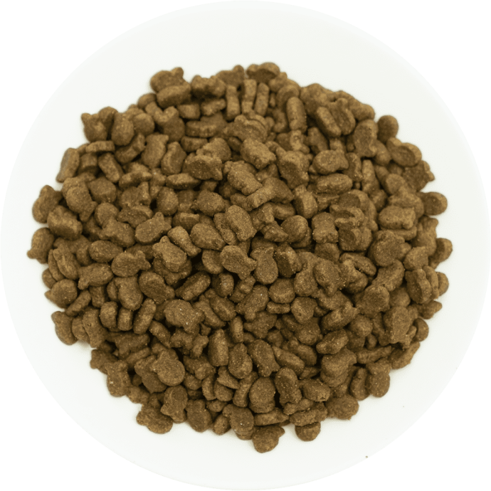 Rengarenk Pet Shop | Kedi, Köpek, Kuş, Balık ve Tüm Evcil Hayvan Ürünleri