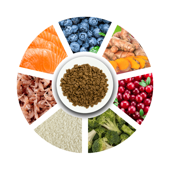 Rengarenk Pet Shop | Kedi, Köpek, Kuş, Balık ve Tüm Evcil Hayvan Ürünleri