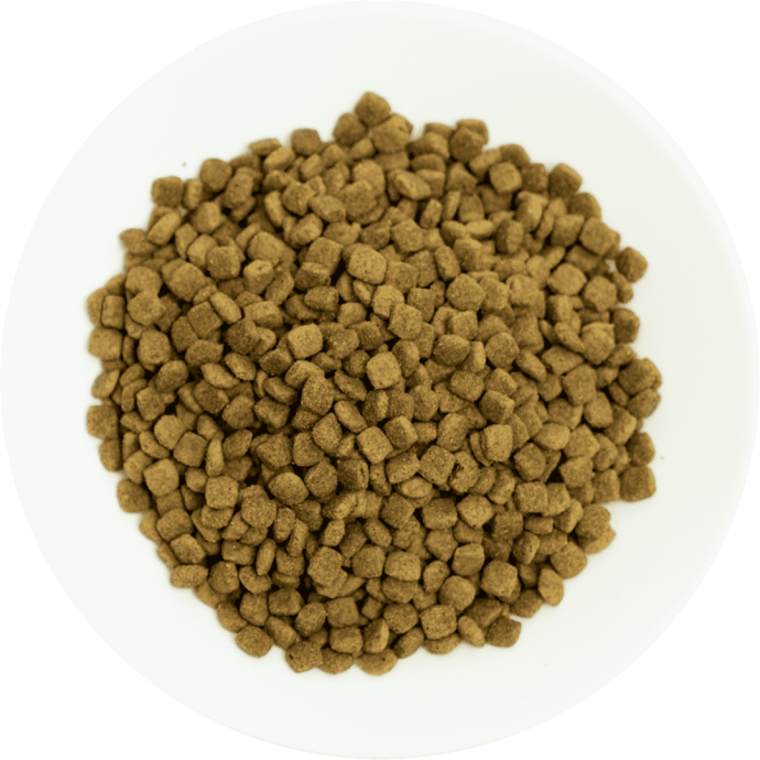 Rengarenk Pet Shop | Kedi, Köpek, Kuş, Balık ve Tüm Evcil Hayvan Ürünleri