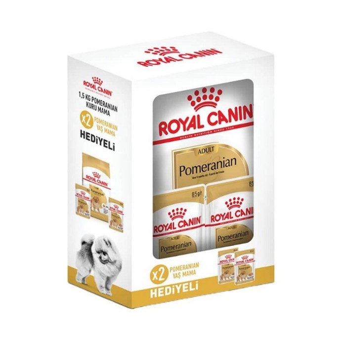 Rengarenk Pet Shop | Kedi, Köpek, Kuş, Balık ve Tüm Evcil Hayvan Ürünleri