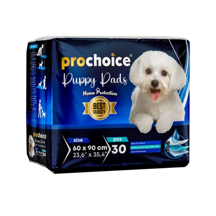 Rengarenk Pet Shop | Kedi, Köpek, Kuş, Balık ve Tüm Evcil Hayvan Ürünleri