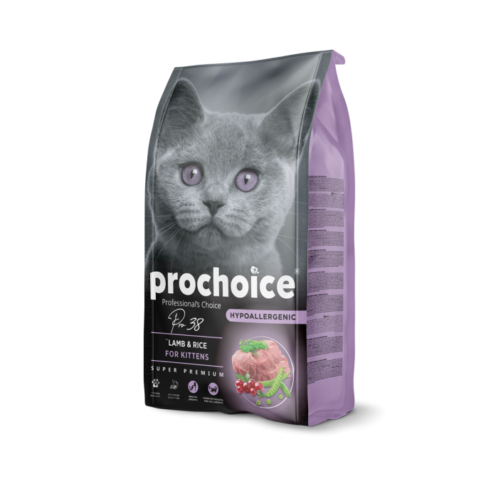 Rengarenk Pet Shop | Kedi, Köpek, Kuş, Balık ve Tüm Evcil Hayvan Ürünleri