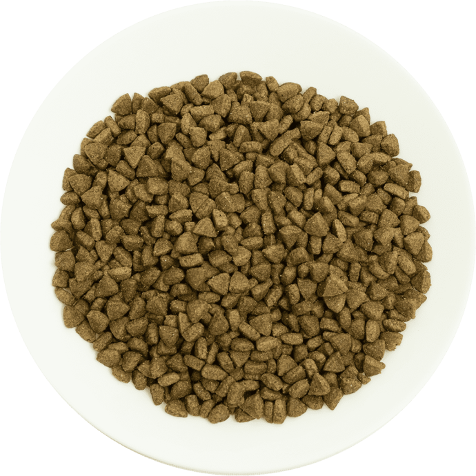 Rengarenk Pet Shop | Kedi, Köpek, Kuş, Balık ve Tüm Evcil Hayvan Ürünleri