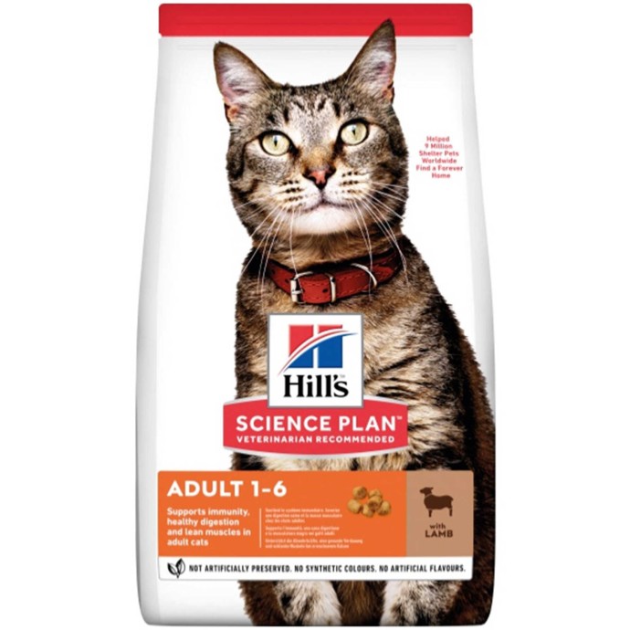 Rengarenk Pet Shop | Kedi, Köpek, Kuş, Balık ve Tüm Evcil Hayvan Ürünleri