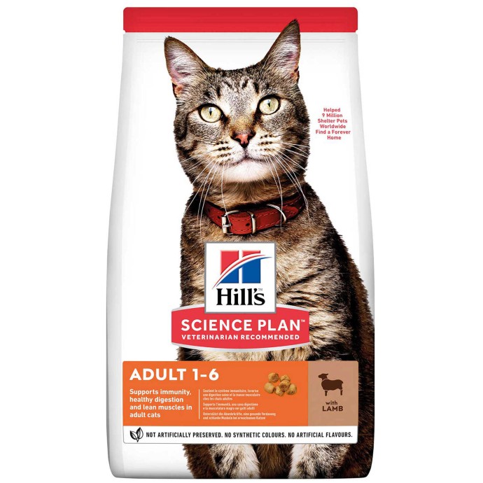 Rengarenk Pet Shop | Kedi, Köpek, Kuş, Balık ve Tüm Evcil Hayvan Ürünleri