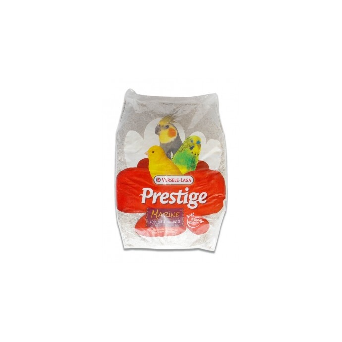 Rengarenk Pet Shop | Kedi, Köpek, Kuş, Balık ve Tüm Evcil Hayvan Ürünleri