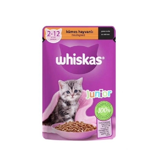 Rengarenk Pet Shop | Kedi, Köpek, Kuş, Balık ve Tüm Evcil Hayvan Ürünleri
