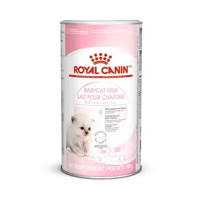 Rengarenk Pet Shop | Kedi, Köpek, Kuş, Balık ve Tüm Evcil Hayvan Ürünleri