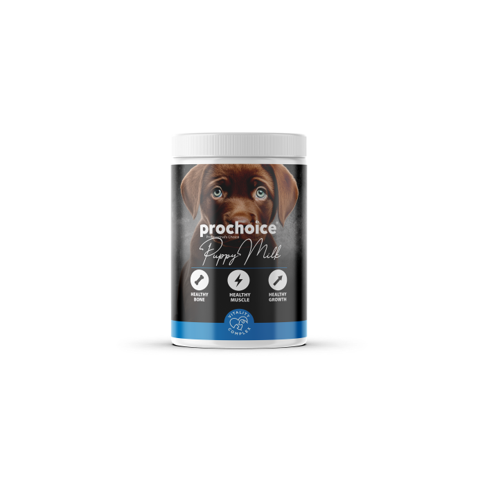 Rengarenk Pet Shop | Kedi, Köpek, Kuş, Balık ve Tüm Evcil Hayvan Ürünleri