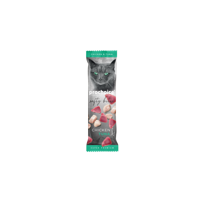 Rengarenk Pet Shop | Kedi, Köpek, Kuş, Balık ve Tüm Evcil Hayvan Ürünleri
