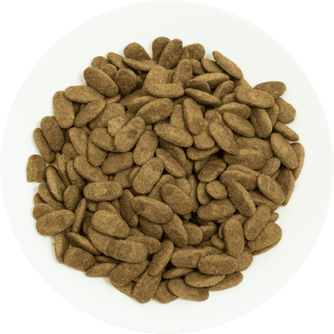 Rengarenk Pet Shop | Kedi, Köpek, Kuş, Balık ve Tüm Evcil Hayvan Ürünleri