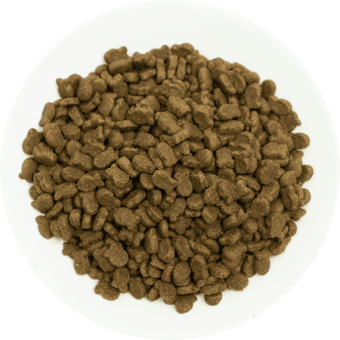 Rengarenk Pet Shop | Kedi, Köpek, Kuş, Balık ve Tüm Evcil Hayvan Ürünleri