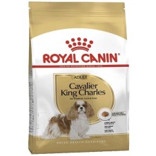 Royal Canin Adult Cavalier King Charles Yetişkin Köpek Maması 3Kg