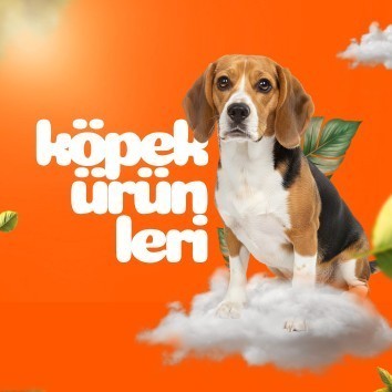 Köpek Ürünleri