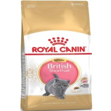 Royal Canin British Shorthair Kitten Yavru Kedi Maması 2 Kg