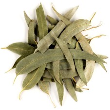 G1 Experience Süper Kalite Doğal Okaliptüs Yaprağı 500 Gr