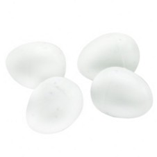 Birdlife Sahte Yumurta