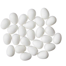 Güvercin Sahte Yumurta