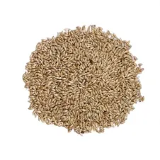 SADE KANARYA YEMİ ASPUR (500 GR BÖLÜNMÜŞ)