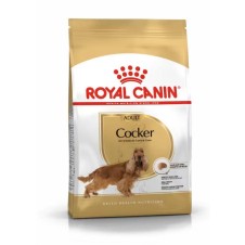 Royal Canin Cocker Yetişkin Köpek Maması 3 Kg