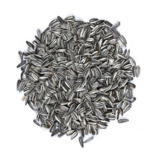 Premium Kalite Çizgili Alaca Çekirdek 1 Kg 