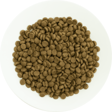 Prochoice 36 Yetişkin Kediler İçin, Hipoalerjenik, Kuzu Etli Ve Pirinçli Kuru Mama (1 KG BÖLÜNMÜŞ)