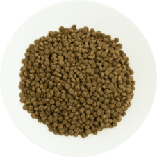 Prochoice 38 Yavru Kediler İçin, Hipoalerjenik, Kuzu Etli Ve Pirinçli Kuru Mama (1 KG BÖLÜNMÜŞ)