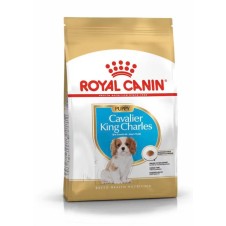 Royal Canin Puppy Cavalier King Charles Yavru Köpek Maması 1,5 Kg