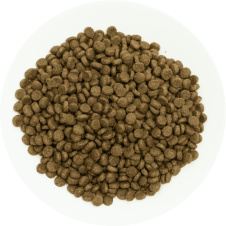 ProChoice Perfect Start Kuzulu ve Pirinçli Yavru Köpek Maması 3 Kg