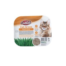 Catlife Tüy Yumağı Önleyici Kedi Çimi