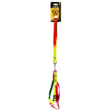 Doglife Gökkuşağı Gögüs Tasması+Gezdirme 1,5Cm