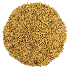 Premium Kalite Sarı Hardal Tohumu 500 Gr