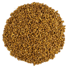 Premium Kalite Süpürge Tohumu 500 Gr